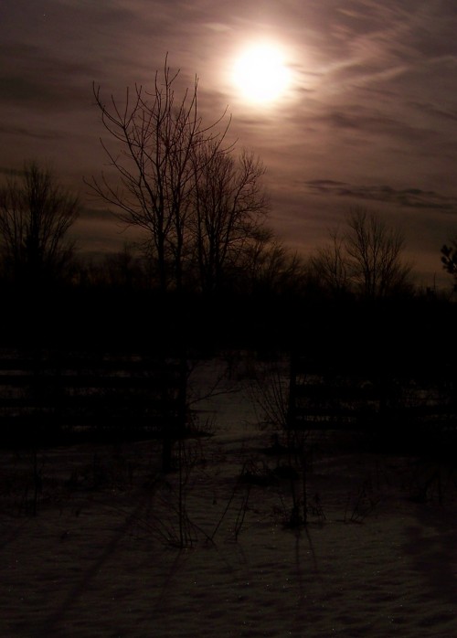 Full moon, February 9, 2009